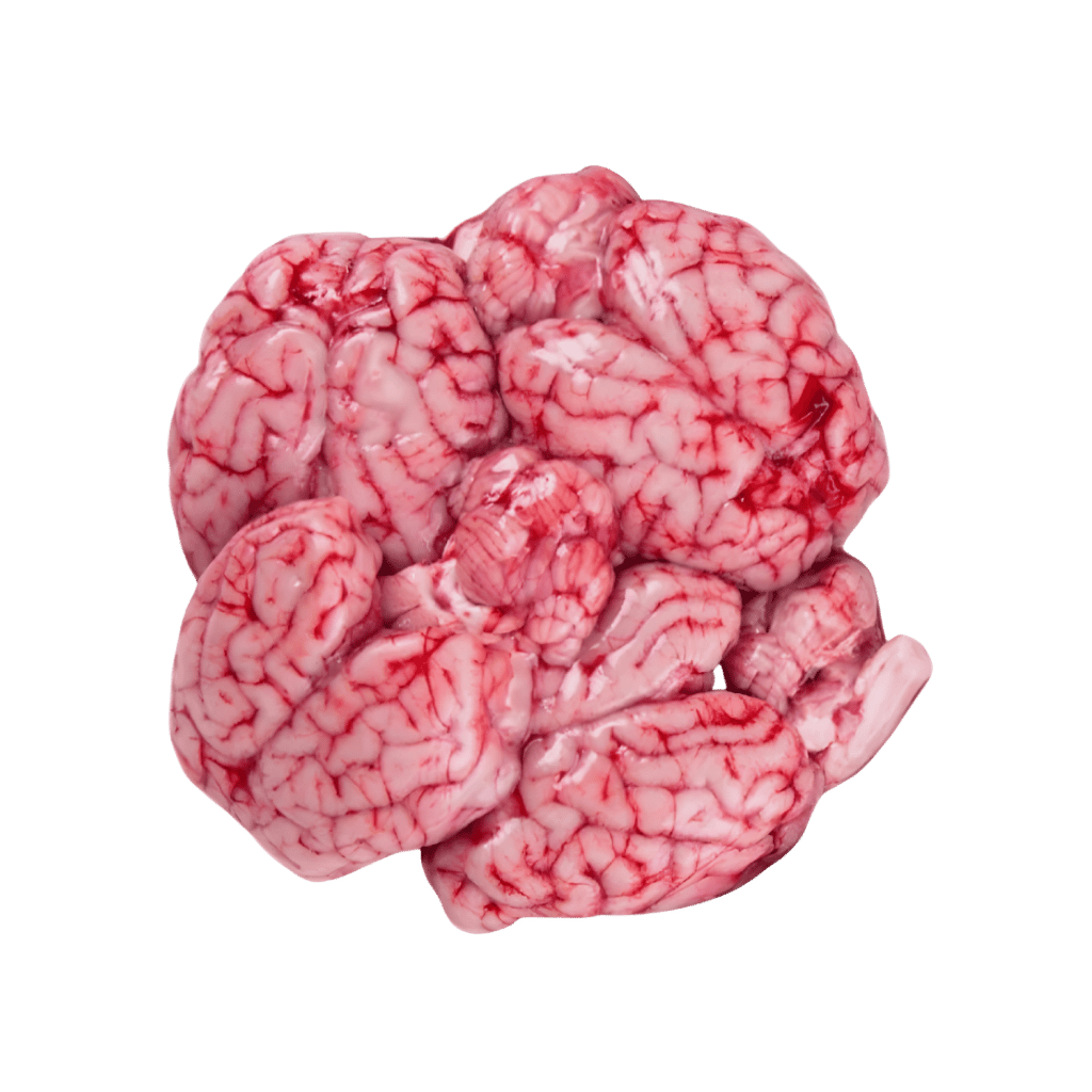 Regular Lamb Brain 1 lb buy online USA - 1